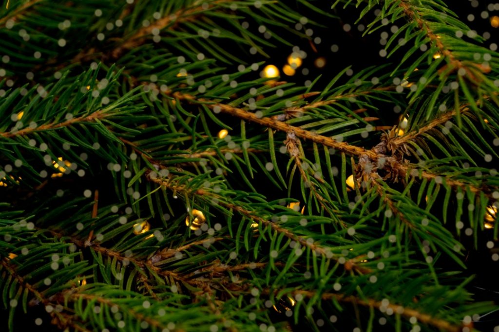 Christmas tree with blurred warm lights