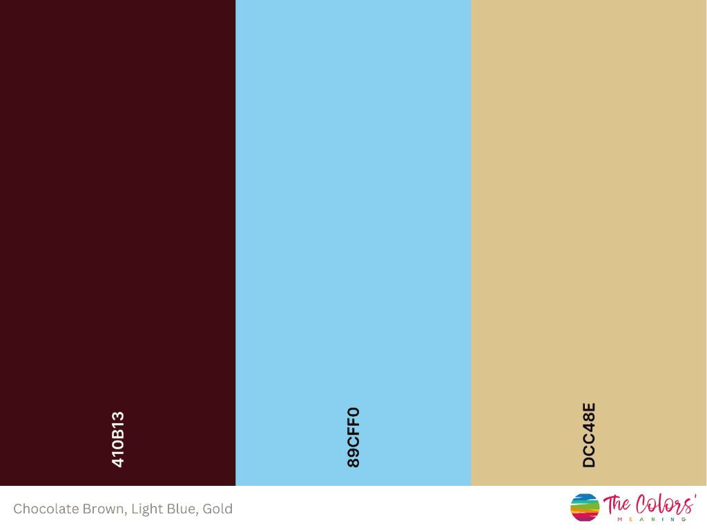 chocolate brown and baby blue color palette