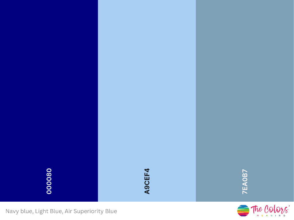 Navy and light blue color palette