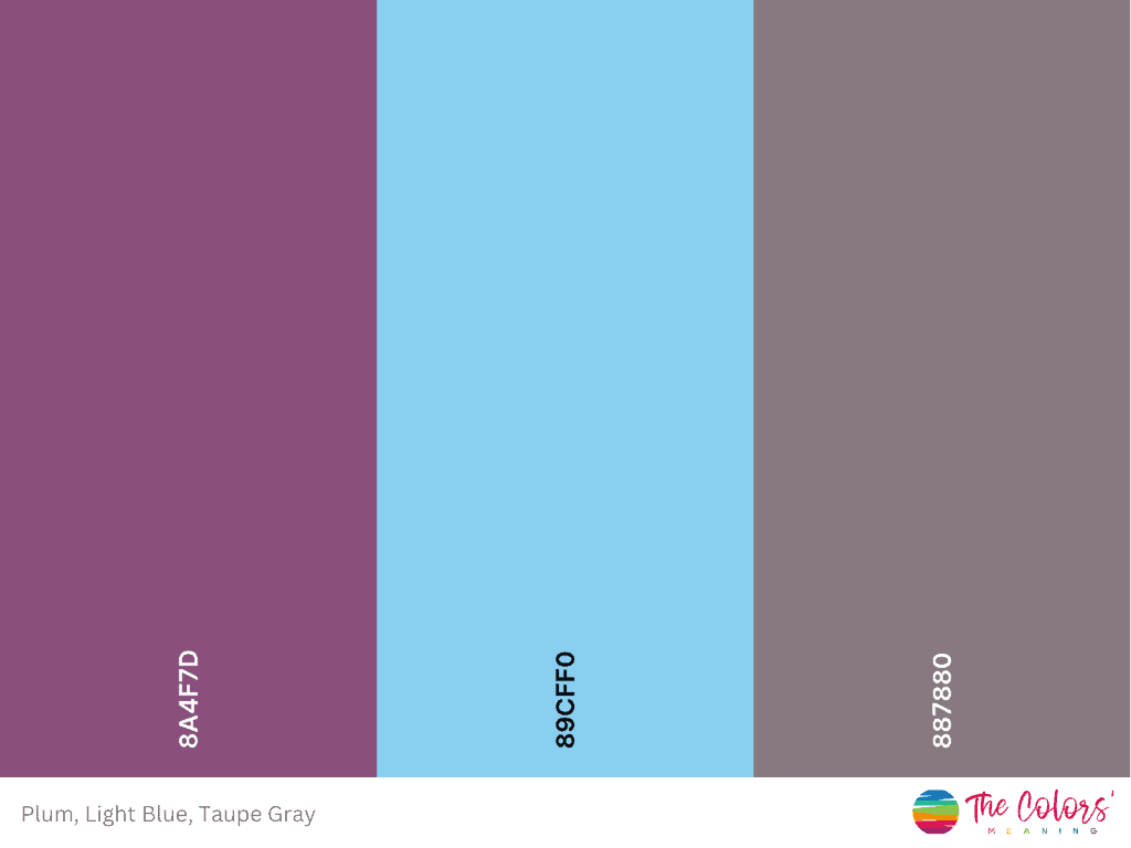 plum and light blue color palette