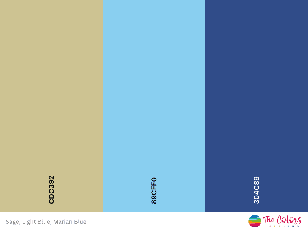 sage and light blue color palette