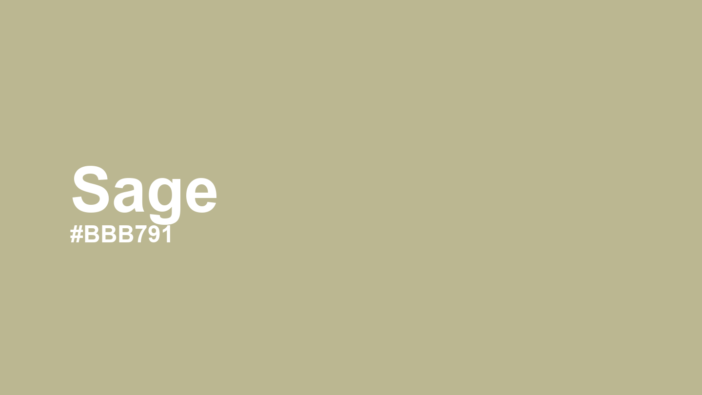 Sage Color: Hex Code, Palettes and Meaning